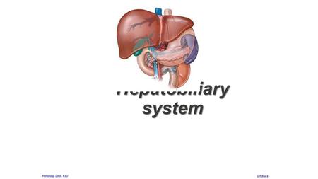 Hepatobiliary system Pathology Dept, KSU GIT Block.