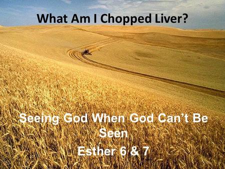 What Am I Chopped Liver? Seeing God When God Can’t Be Seen Esther 6 & 7.