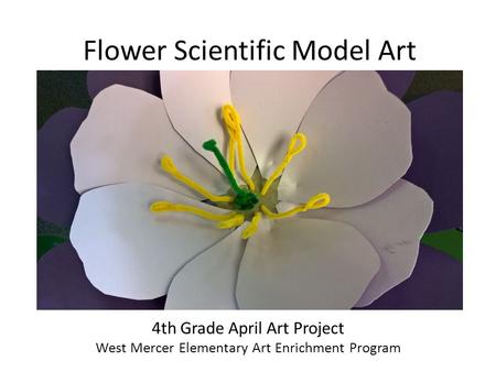 Flower Scientific Model Art 4th Grade April Art Project West Mercer Elementary Art Enrichment Program.