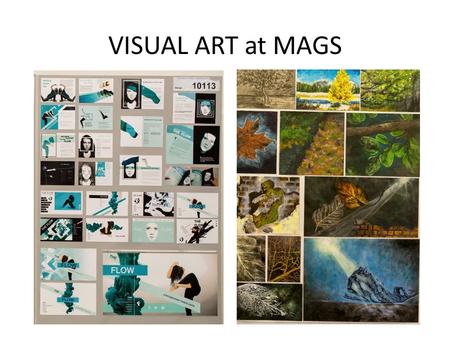 VISUAL ART at MAGS. Academic Courses University of Auckland, Bachelor of Fine Arts, Bachelor of Architecture, Victoria University School of Architecture,