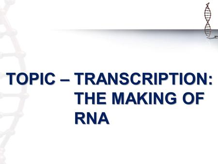 TOPIC – TRANSCRIPTION: THE MAKING OF RNA. DNA Replication Bell Ringer The sequence below represents the bases of a single strand of a DNA molecule. Complete.