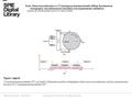 Date of download: 6/20/2016 Copyright © 2016 SPIE. All rights reserved. CT-analog pharmacokinetic DFT: (a) sketch of phantom and the configuration of the.