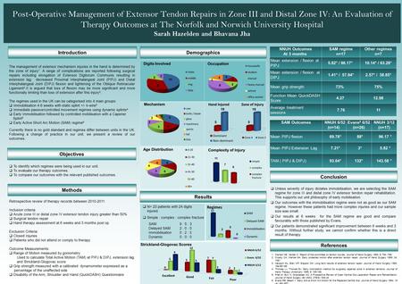 Post-Operative Management of Extensor Tendon Repairs in Zone III and Distal Zone IV: An Evaluation of Therapy Outcomes at The Norfolk and Norwich University.