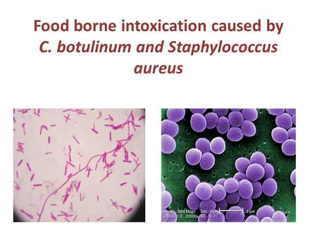 Food borne intoxication caused by C. botulinum and Staphylococcus aureus.