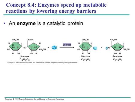 Copyright © 2005 Pearson Education, Inc. publishing as Benjamin Cummings Concept 8.4: Enzymes speed up metabolic reactions by lowering energy barriers.