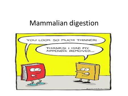 Mammalian digestion.