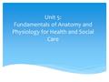 Unit 5: Fundamentals of Anatomy and Physiology for Health and Social Care.