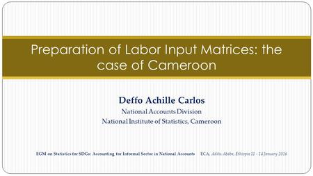 Preparation of Labor Input Matrices: the case of Cameroon Deffo Achille Carlos National Accounts Division National Institute of Statistics, Cameroon EGM.