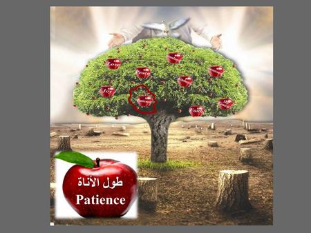 طول الأناة Patience.