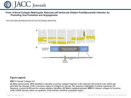 Date of download: 6/21/2016 Copyright © The American College of Cardiology. All rights reserved. From: A Novel Collagen Matricryptin Reduces Left Ventricular.