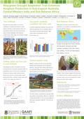 The challenge Drought during grain filling is a common challenge for sorghum production in north- eastern Australia, central-western India, and sub-Saharan.