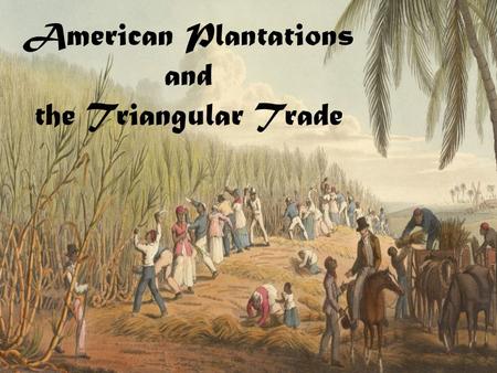 American Plantations and the Triangular Trade. American Plantations  Huge farms growing cash crops: sugar, cotton, coffee, tobacco  Required lots of.