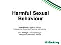 Harmful Sexual Behaviour