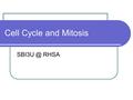 Cell Cycle and Mitosis RHSA. Cell Cycle The life cycle of all cells has two main parts: 1. Interphase 2. Mitosis and cytokinesis.