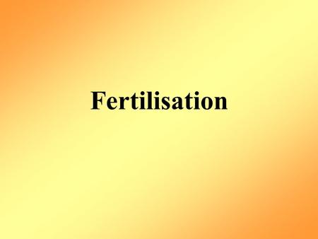 Fertilisation. Sperm Contains half the chromosomes needed to make a body ‘Tail’ region: this helps the sperm swim towards the egg ‘Head’ region Acrosome: