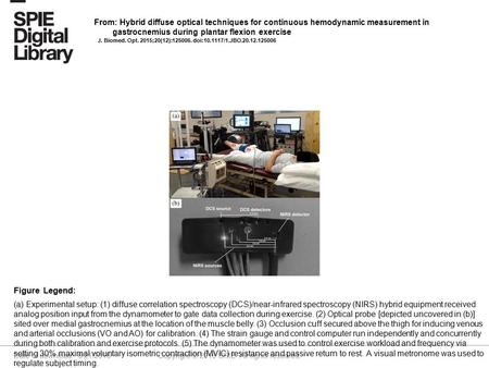 Date of download: 6/21/2016 Copyright © 2016 SPIE. All rights reserved. (a) Experimental setup: (1) diffuse correlation spectroscopy (DCS)/near-infrared.