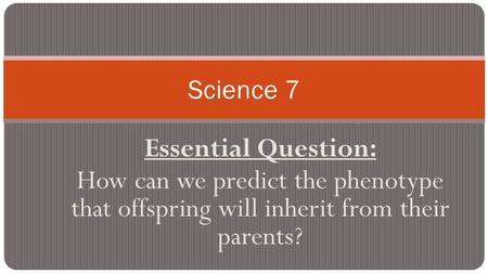 Essential Question: How can we predict the phenotype that offspring will inherit from their parents? Science 7.