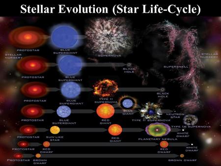 Stellar Evolution (Star Life-Cycle). Basic Structure Mass governs a star’s temperature, luminosity, and diameter. In fact, astronomers have discovered.