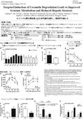 Fig. 1 肝臓にセラミダーゼを過剰発現させたとき 肝臓および血清中のセラミド (C16:0 、 C18:0) が減 少 肝臓中のジアシルグリセロールが減 少 低いインスリン濃度で血糖値低 下 糖負荷試験 インスリン投与後の グルコース量低下 インスリン抵抗性試 験 インスリン感受性改善 グルコースクランプ試験.