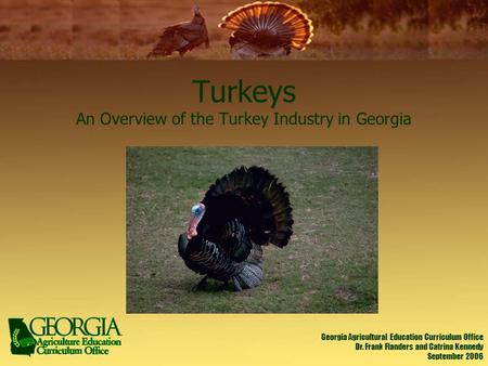 Turkeys An Overview of the Turkey Industry in Georgia Georgia Agricultural Education Curriculum Office Dr. Frank Flanders and Catrina Kennedy September.