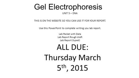 Gel Electrophoresis UNIT 5 – DNA THIS IS ON THE WEBSITE SO YOU CAN USE IT FOR YOUR REPORT. Use this PowerPoint to complete writing you lab report. Lab.