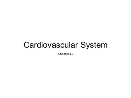 Cardiovascular System