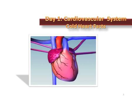 1. Primary Functions 2 The heart is a muscular organ that is responsible for pumping blood to all parts of the body 3 33.1 the CIRCULATORY SYSTEM.