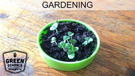 GARDENING. WHY IS GARDENING IMPORTANT? Teaches you how to grow your own food Teaches you about plants and animals Teaches you about responsibility and.