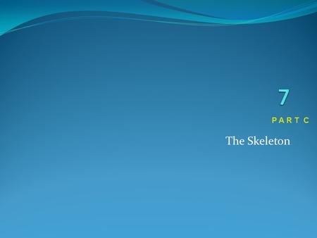 The Skeleton P A R T C. Cervical Vertebrae Seven vertebrae (C 1 -C 7 ) are the smallest, lightest vertebrae Oval body and large, triangular vertebral.