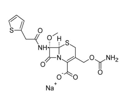 Although it is less potent than cephalothin against Gram-positive bacteria and cefamandole against most of the Enterobacteriaceae, cefoxitin is effective.