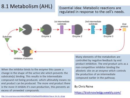 By Chris Paine https://bioknowledgy.weebly.com/ 8.1 Metabolism (AHL) Essential idea: Metabolic reactions are regulated in response to the cell’s needs.