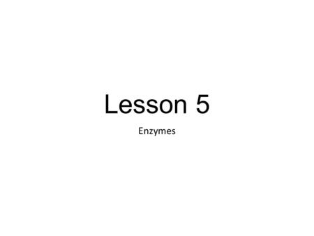 Lesson 5 Enzymes. Catalyst: something that increases the rate of reactions Enzymes are biological catalysts Often ends with –ase Most enzymes are proteins.