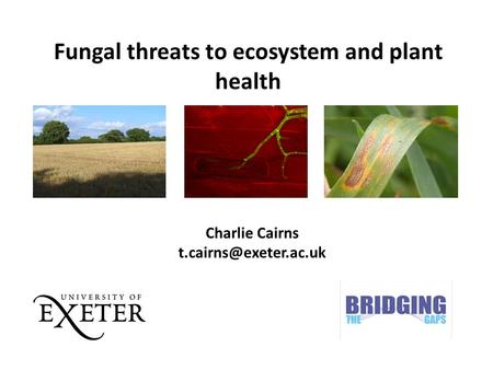 Fungal threats to ecosystem and plant health Charlie Cairns