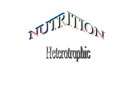 Nutrition is the process of taking in molecules (food) from the environment and changing into usable forms. It is one of the life functions that were.