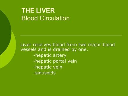 THE LIVER Blood Circulation Liver receives blood from two major blood vessels and is drained by one. -hepatic artery -hepatic portal vein -hepatic vein.