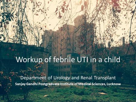 Workup of febrile UTI in a child Department of Urology and Renal Transplant Sanjay Gandhi Postgraduate Institute of Medical Sciences, Lucknow.