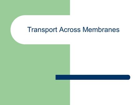 Transport Across Membranes. The Plasma Membrane A selectively permeable phospholipid bilayer with integrated proteins.