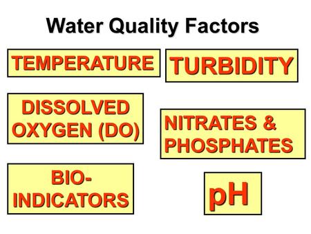 pH TURBIDITY Water Quality Factors TEMPERATURE DISSOLVED OXYGEN (DO)