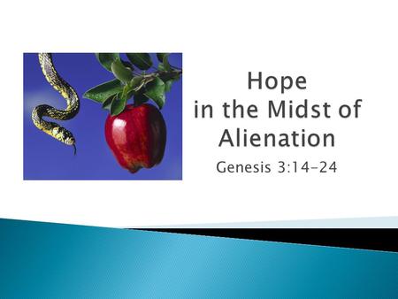 Genesis 3:14-24.  Genesis 1 ◦ God made the beautiful world ◦ He created Adam and Eve in His image to fill the earth and take care of it  Genesis 2 ◦