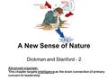 A New Sense of Nature Dickman and Stanford - 2 Advanced organizer: This chapter targets intelligence as the brain connection of primary concern to leadership.