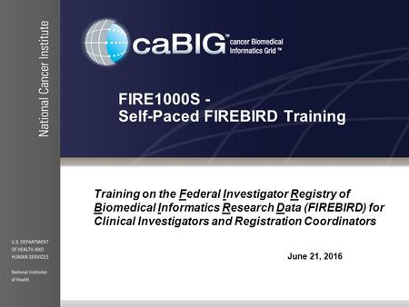 FIRE1000S - Self-Paced FIREBIRD Training Training on the Federal Investigator Registry of Biomedical Informatics Research Data (FIREBIRD) for Clinical.