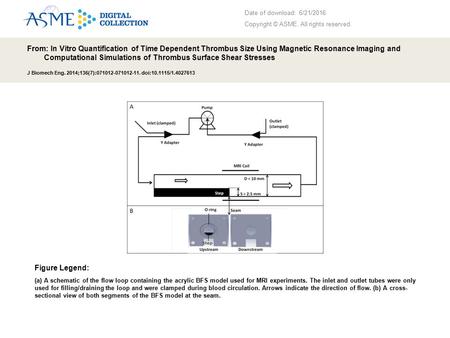 Date of download: 6/21/2016 Copyright © ASME. All rights reserved. From: In Vitro Quantification of Time Dependent Thrombus Size Using Magnetic Resonance.