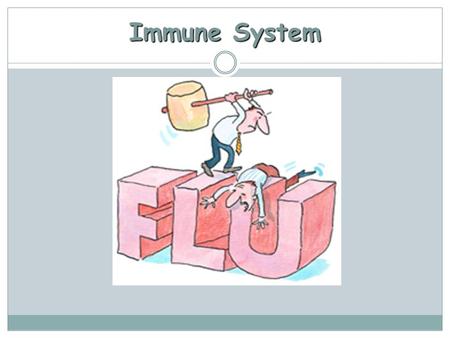 Immune System. Review What is an immune system?  The system in the body responsible for maintaining homeostasis by recognizing harmful from non harmful.