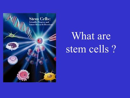 What are stem cells ?. Characteristics that distinguish stem cells from other cells 1.They are undifferentiated cells (their job is to become special.