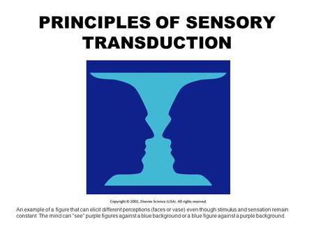 PRINCIPLES OF SENSORY TRANSDUCTION