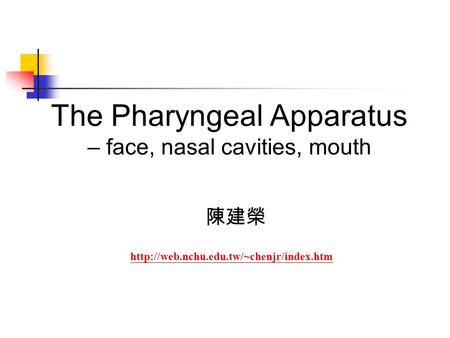 The Pharyngeal Apparatus