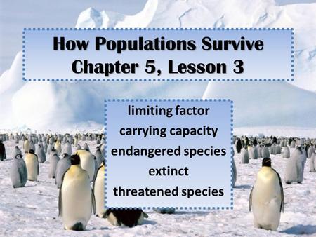 How Populations Survive Chapter 5, Lesson 3 limiting factor carrying capacity endangered species extinct threatened species.