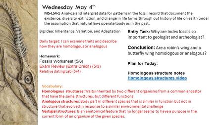 Wednesday May 4 th Big Idea: Inheritance, Variation, and Adaptation Daily target: I can examine traits and describe how they are homologous or analogous.