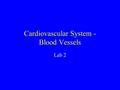 Cardiovascular System - Blood Vessels Lab 2. Outline Review last week’s material –turn in assignment –questions about heart anatomy Diagram arteries or.