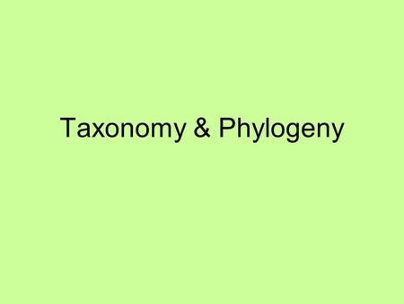 Taxonomy & Phylogeny. B-5.6 Summarize ways that scientists use data from a variety of sources to investigate and critically analyze aspects of evolutionary.